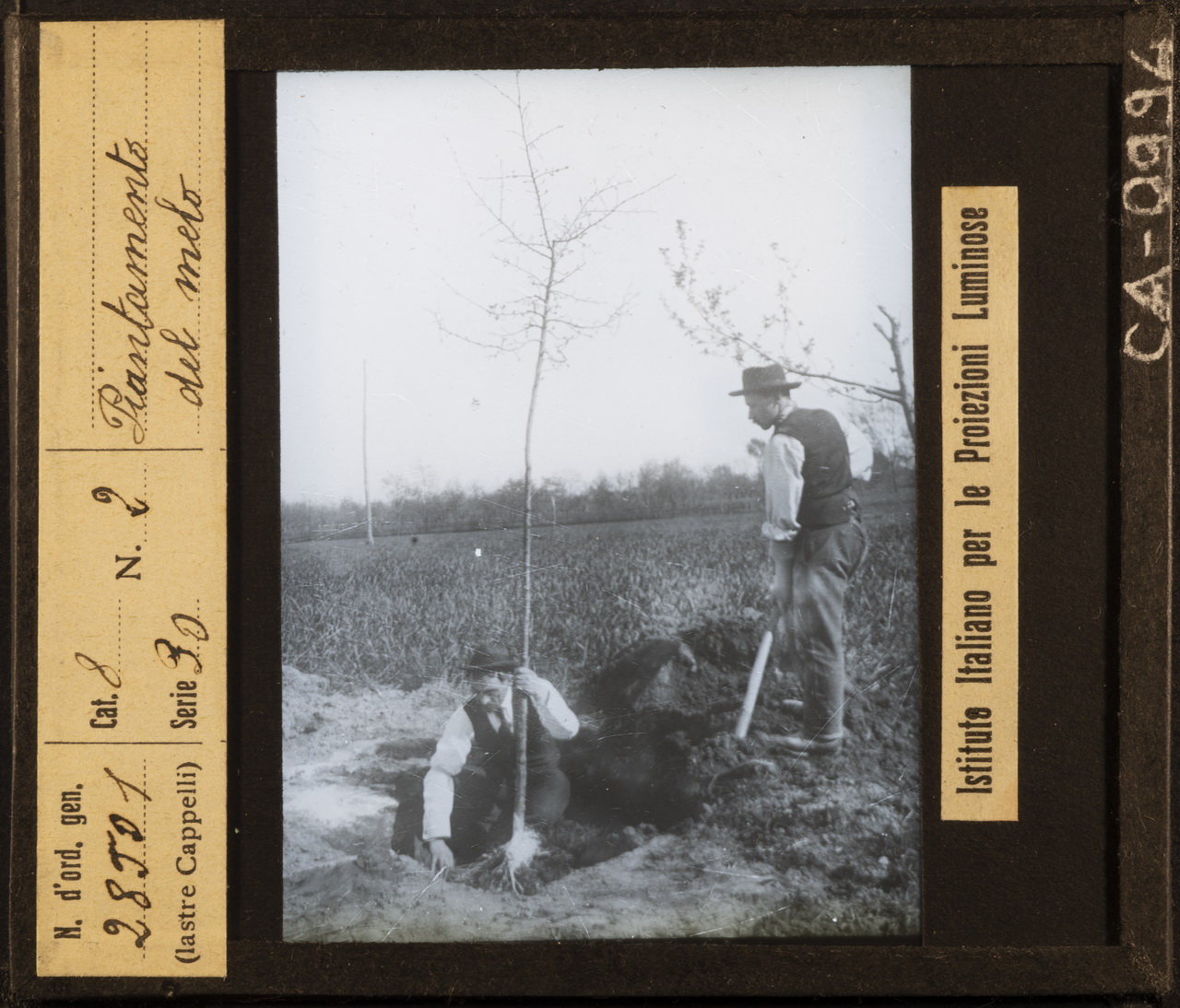 Persone - Agricoltori - Lavoratori agricoli (positivo) di Istituto Italiano per le Proiezioni Luminose (XX)