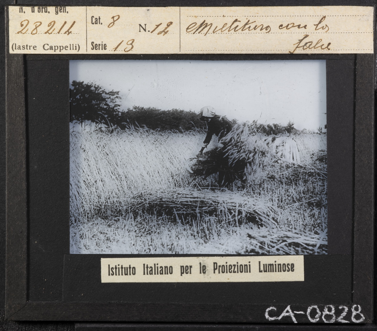Persone - Lavoratori agricoli - Contadini (positivo) di Istituto Italiano per le Proiezioni Luminose (XX)