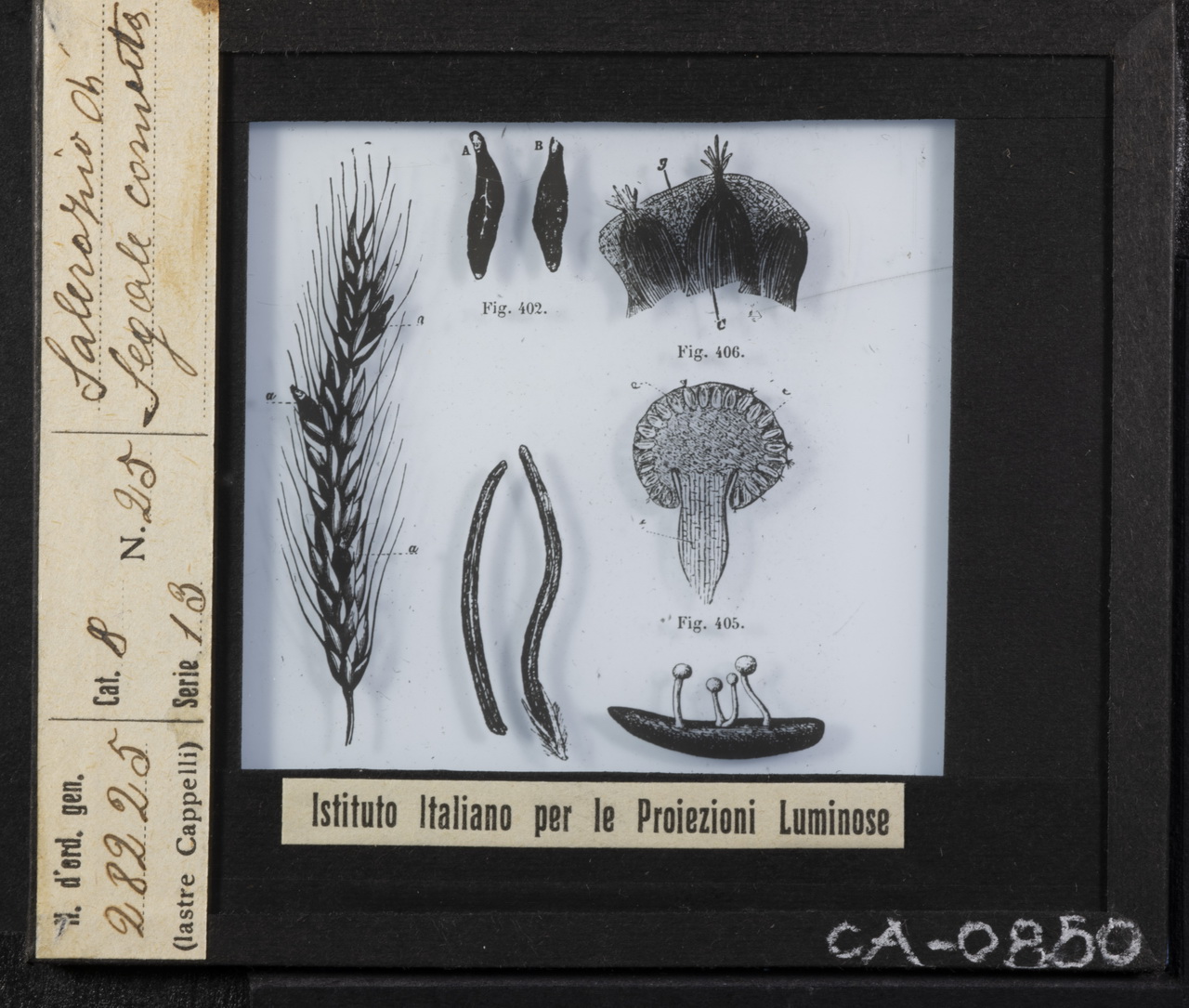 Cattedre ambulanti di agricoltura - Insegnamento - Tavole - Illustrazioni (positivo) di Istituto Italiano per le Proiezioni Luminose (XX)