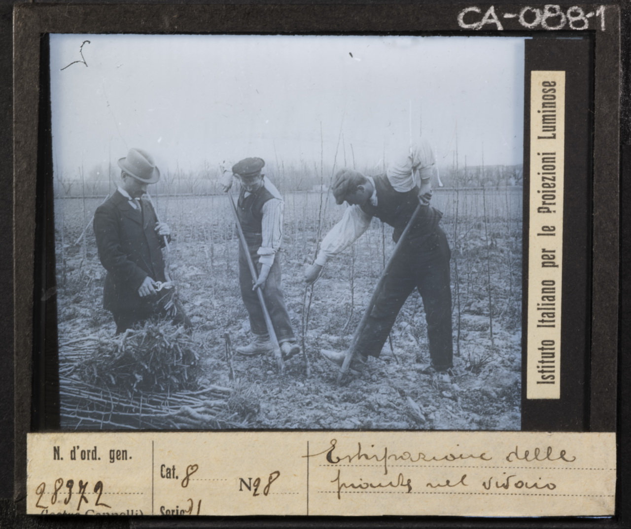 Lavoro agricolo - Lavoratori agricoli - Contadini (positivo) di Istituto Italiano per le Proiezioni Luminose (XX)