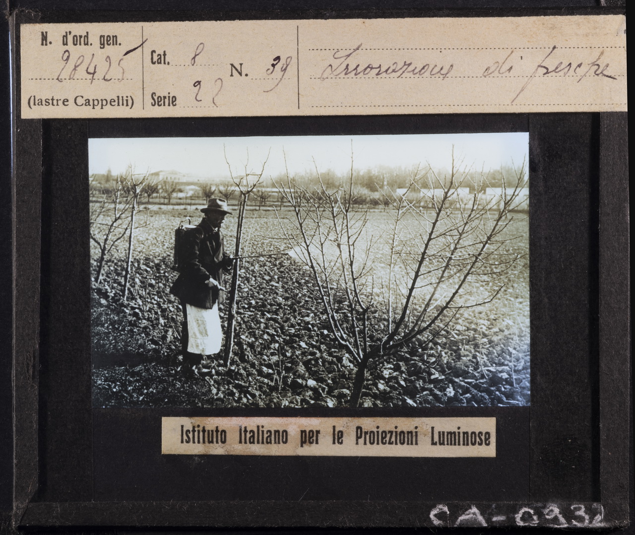 Alberi da frutto - Peschi - Pesticidi - Disinfestanti (positivo) di Istituto Italiano per le Proiezioni Luminose (XX)