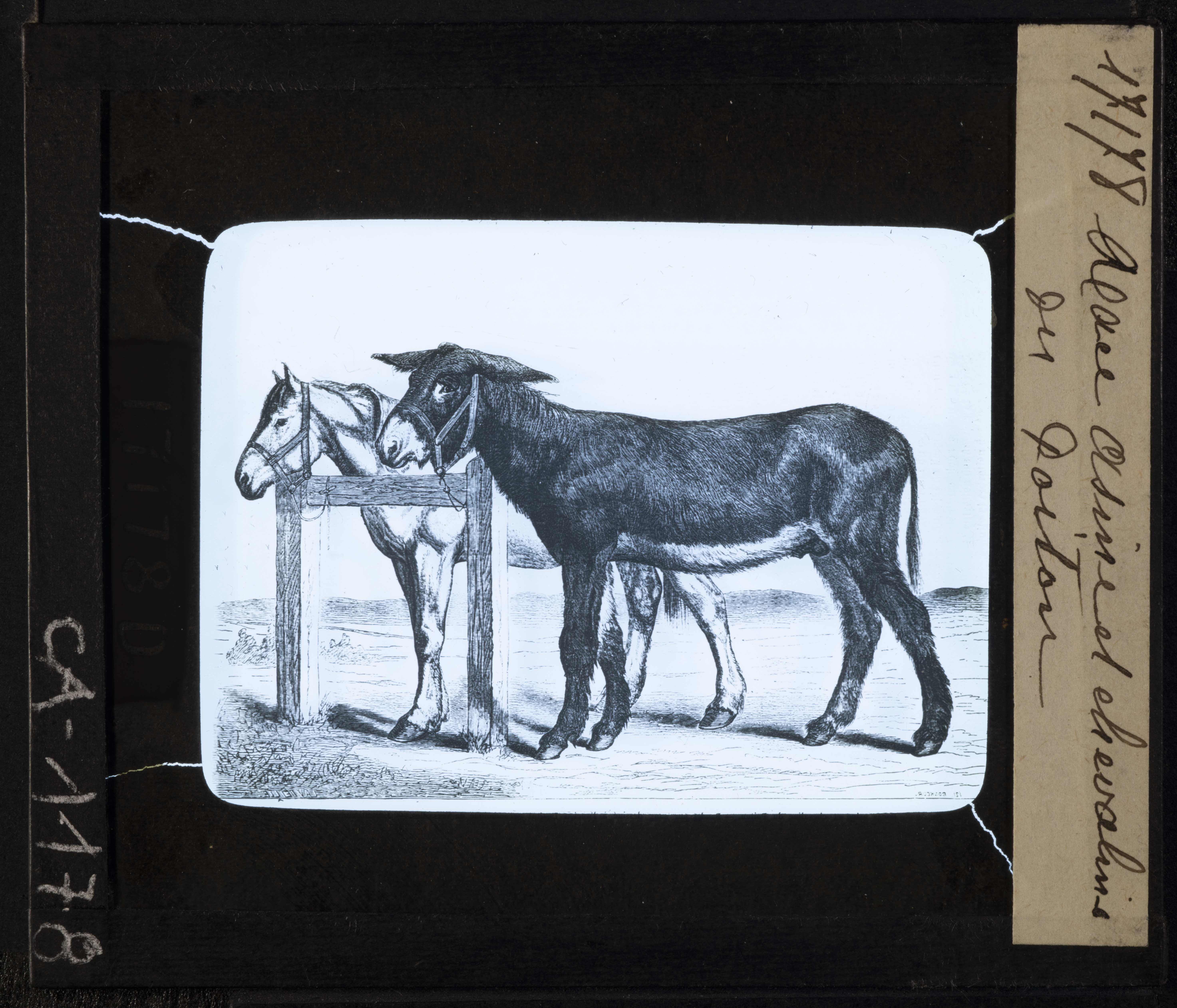 Cattedre ambulanti di agricoltura - Insegnamento - Tavole - Illustrazioni (positivo) di Anonimo (XIX-XX)