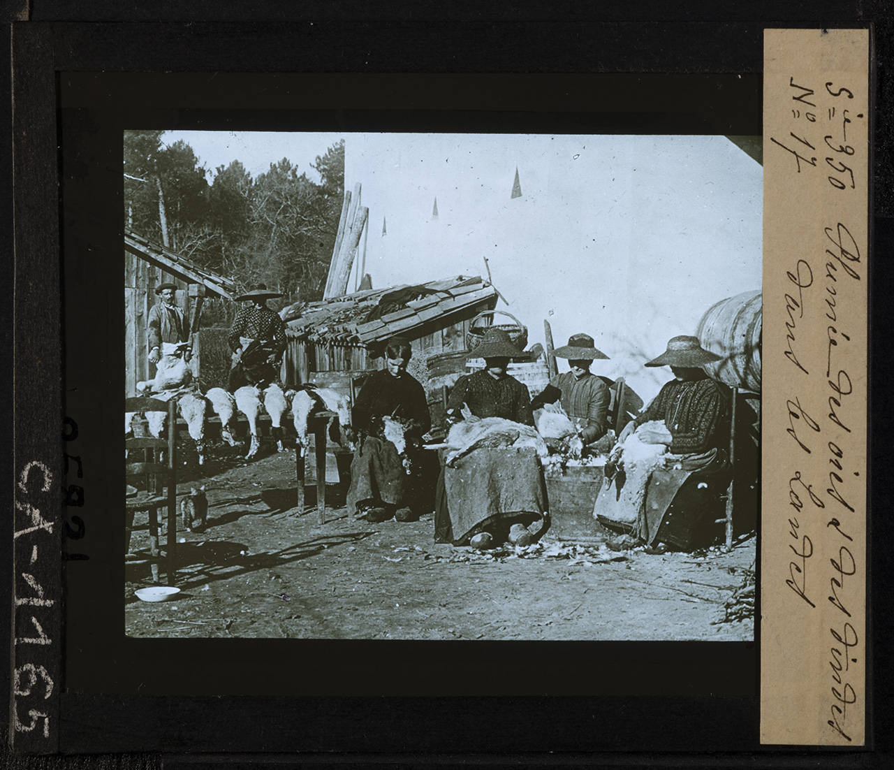 Francia - Nuova Aquitania - Landes (positivo) di Anonimo (XIX-XX)