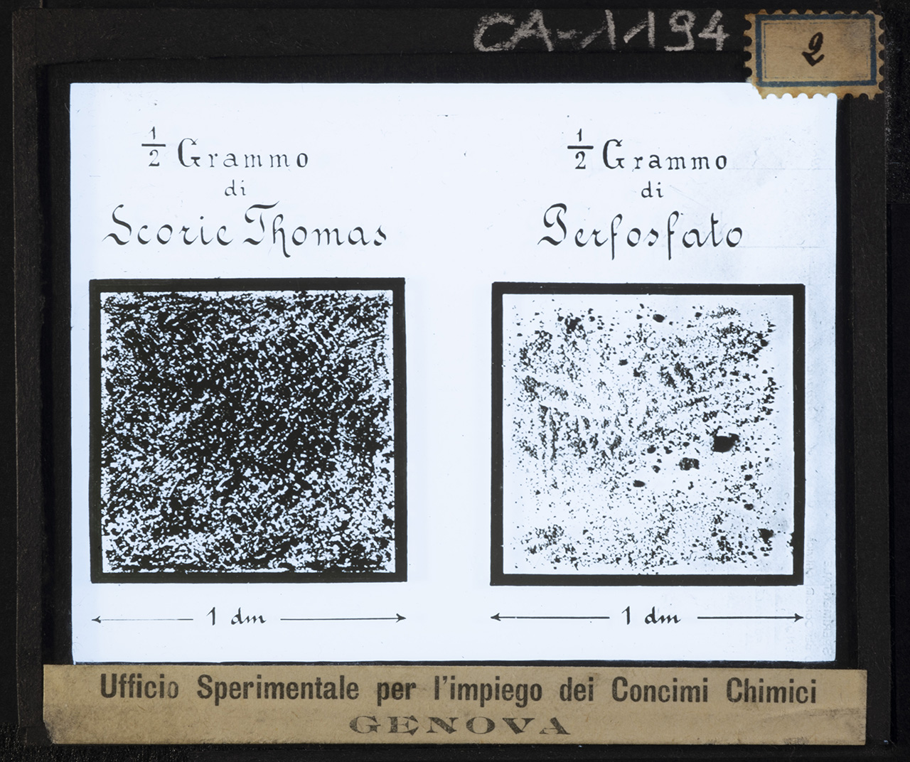 Cattedre ambulanti di agricoltura - Insegnamento - Tavole – Illustrazioni (positivo) di Anonimo (XX)