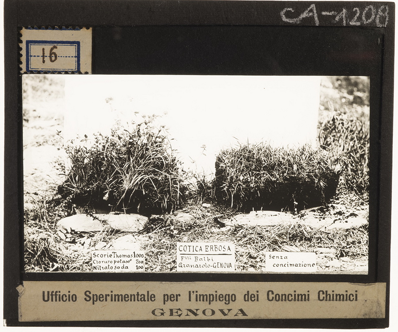 Liguria - Genova - Granarolo (positivo) di Anonimo (XX)