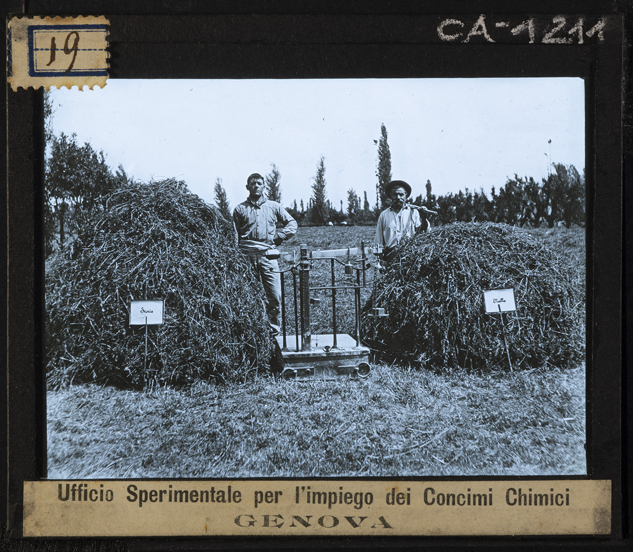 Persone - Agricoltori - Lavoratori agricoli (positivo) di Anonimo (XX)