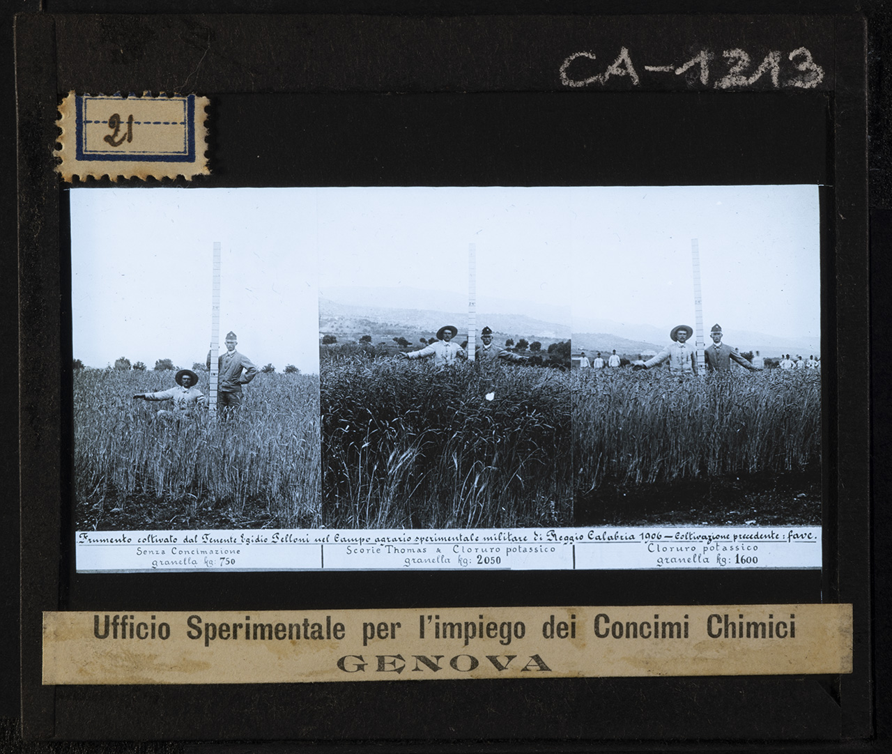 Calabria - Reggio Calabria - Campo agrario sperimentale militare (positivo) di Anonimo (XX)