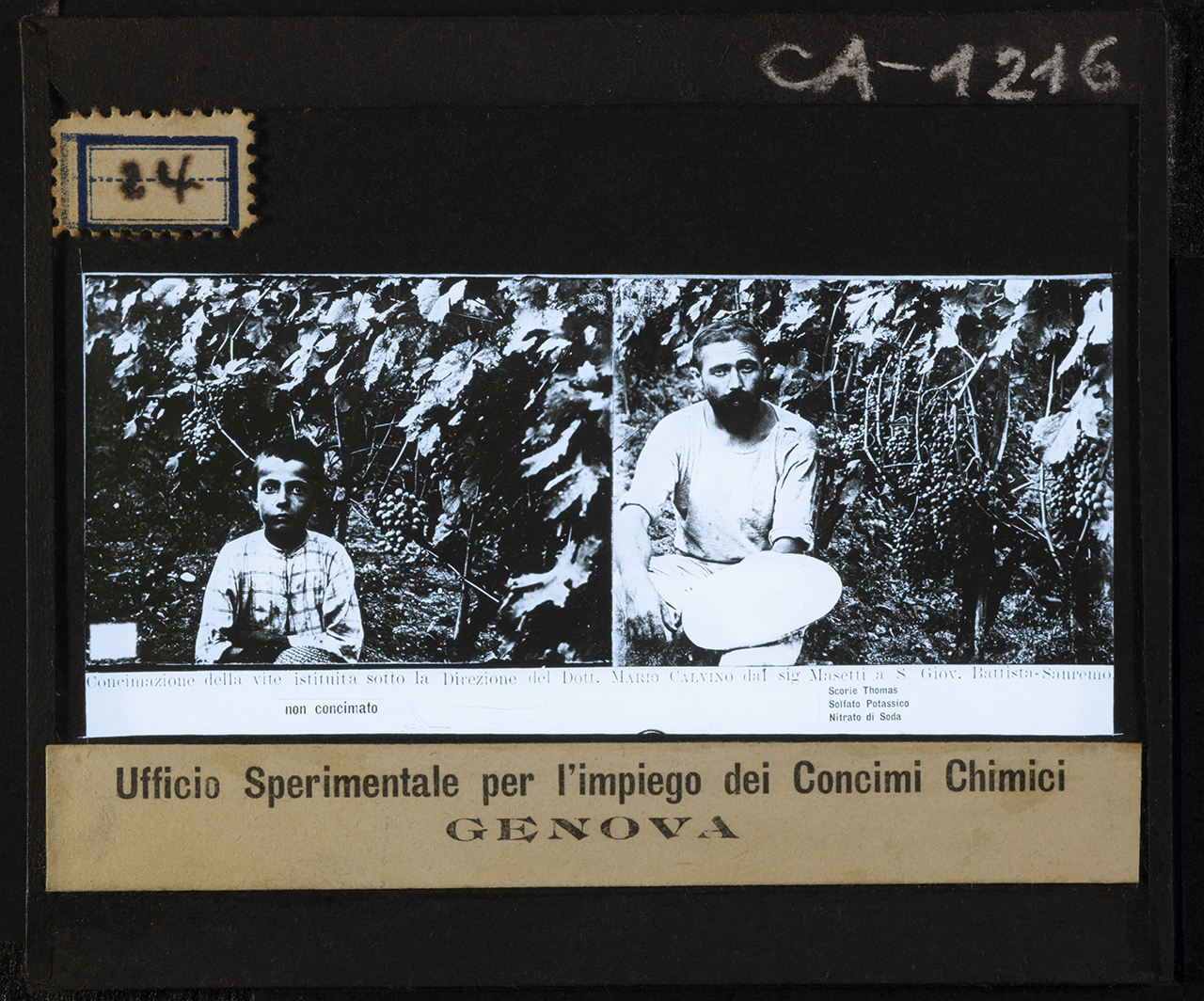 Persone - Agricoltori - Bambini (positivo) di Anonimo (XX)