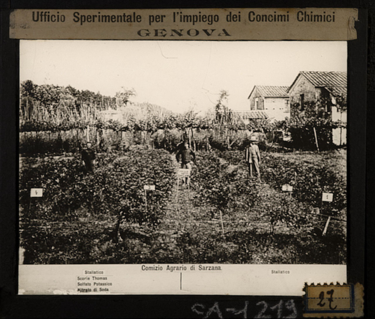 Persone - Agricoltori - Comizi agrari (positivo) di Anonimo (XX)