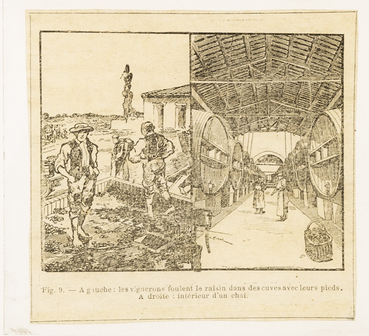 Cattedre ambulanti di agricoltura - Insegnamento - Tavole - Illustrazioni (positivo) di Anonimo (XIX-XX)