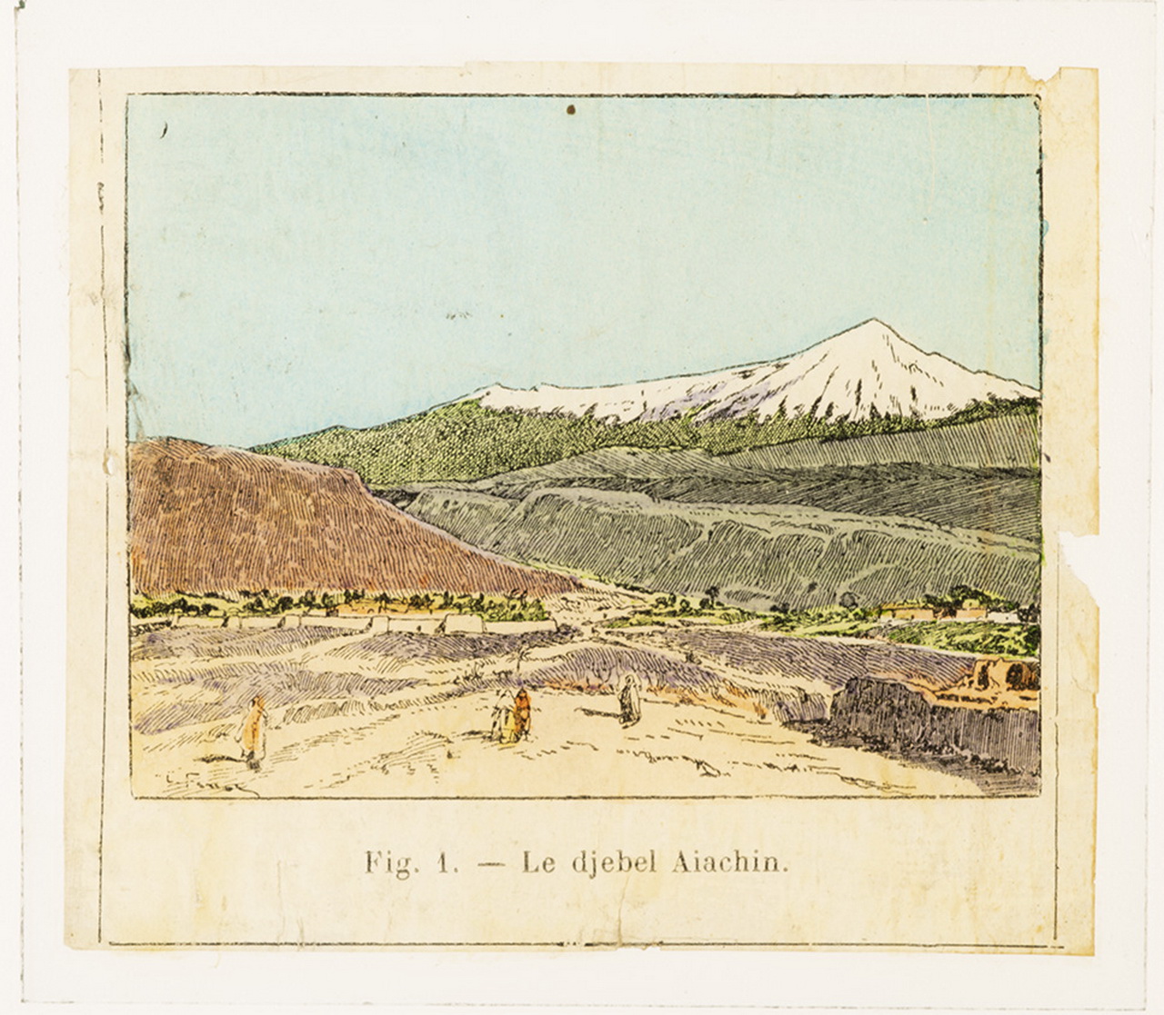 Cattedre ambulanti di agricoltura - Insegnamento - Tavole - Illustrazioni (positivo) di Anonimo (XIX-XX)