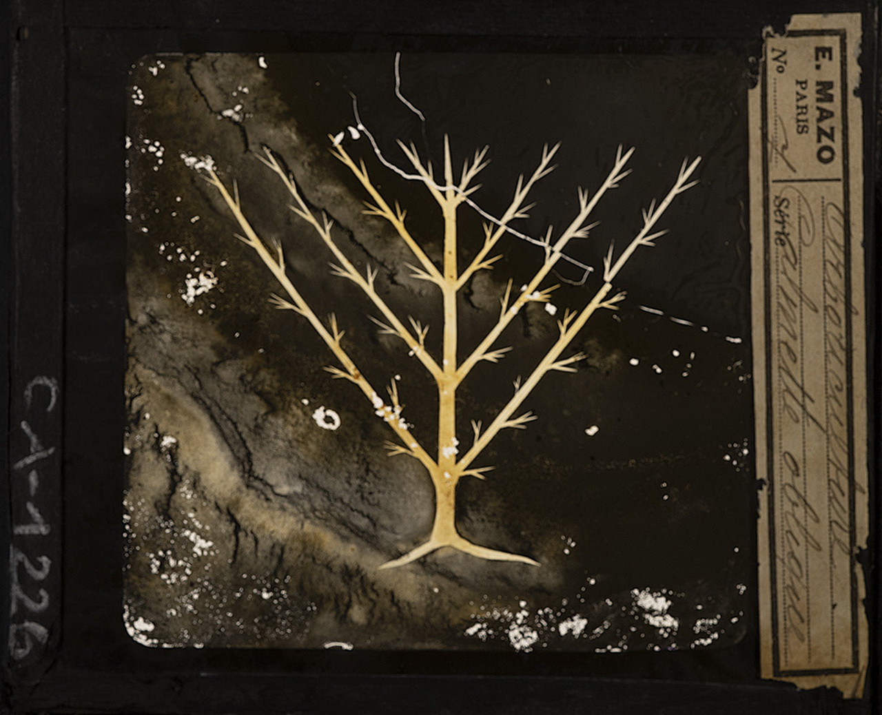 Cattedre ambulanti di agricoltura - Insegnamento - Tavole - Illustrazioni (positivo) di E. Mazo (XIX-XX)