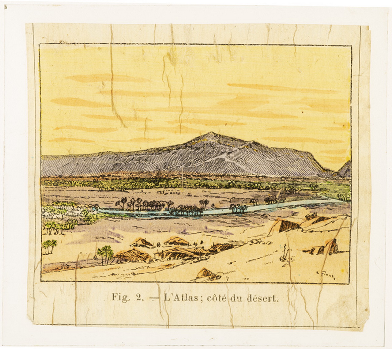 Cattedre ambulanti di agricoltura - Insegnamento - Tavole - Illustrazioni (positivo) di Anonimo (XIX-XX)