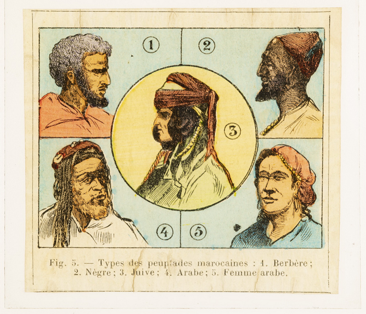 Cattedre ambulanti di agricoltura - Insegnamento - Tavole - Illustrazioni (positivo) di Anonimo (XIX-XX)