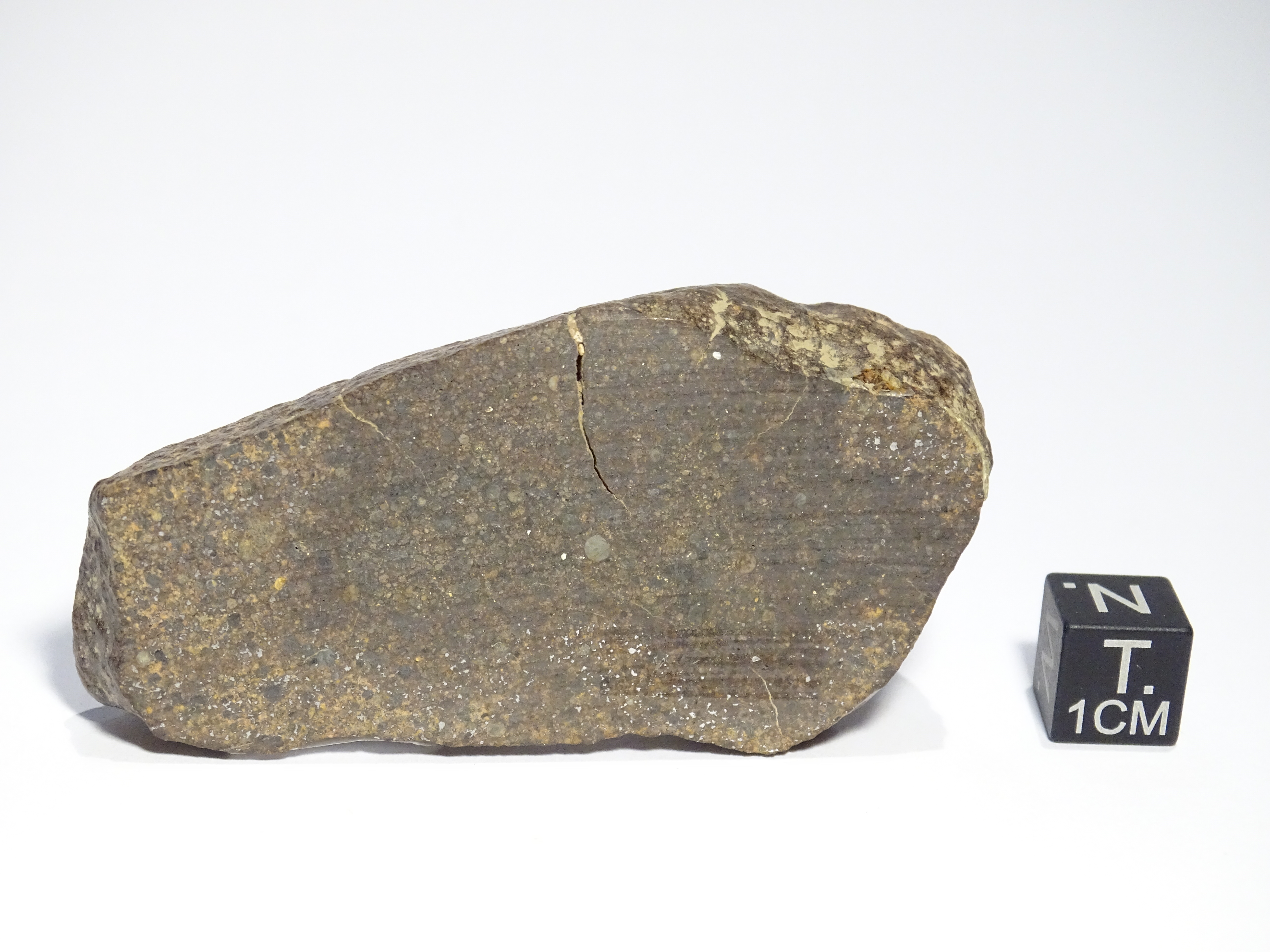 Meteorite/ Condrite non raggruppata/ Acfer 370 (esemplare)
