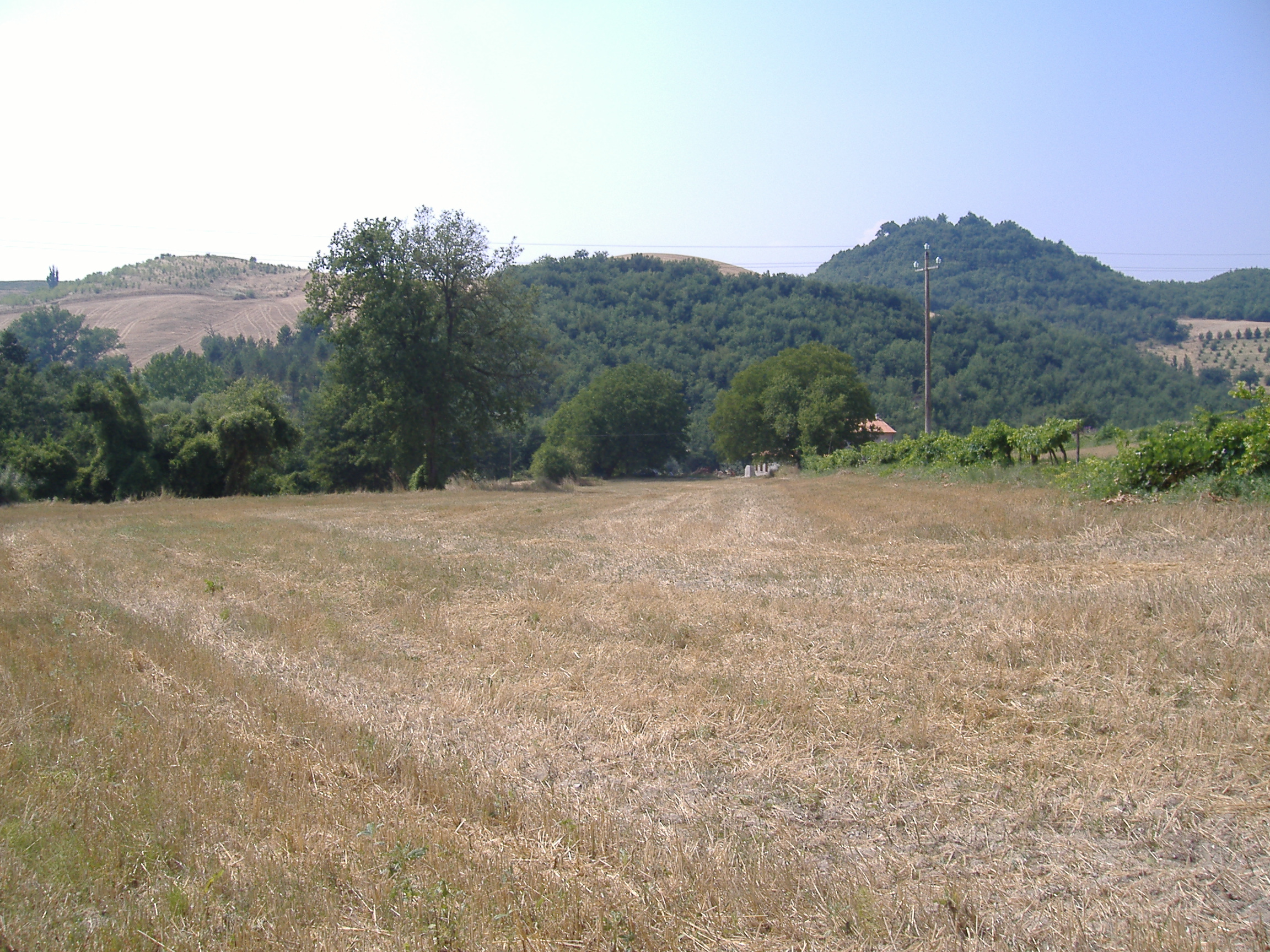 area ad uso funerario, tombe - Fermignano (PU)  (PERIODIZZAZIONI/ STORIA/ Età antica/ Età romana)