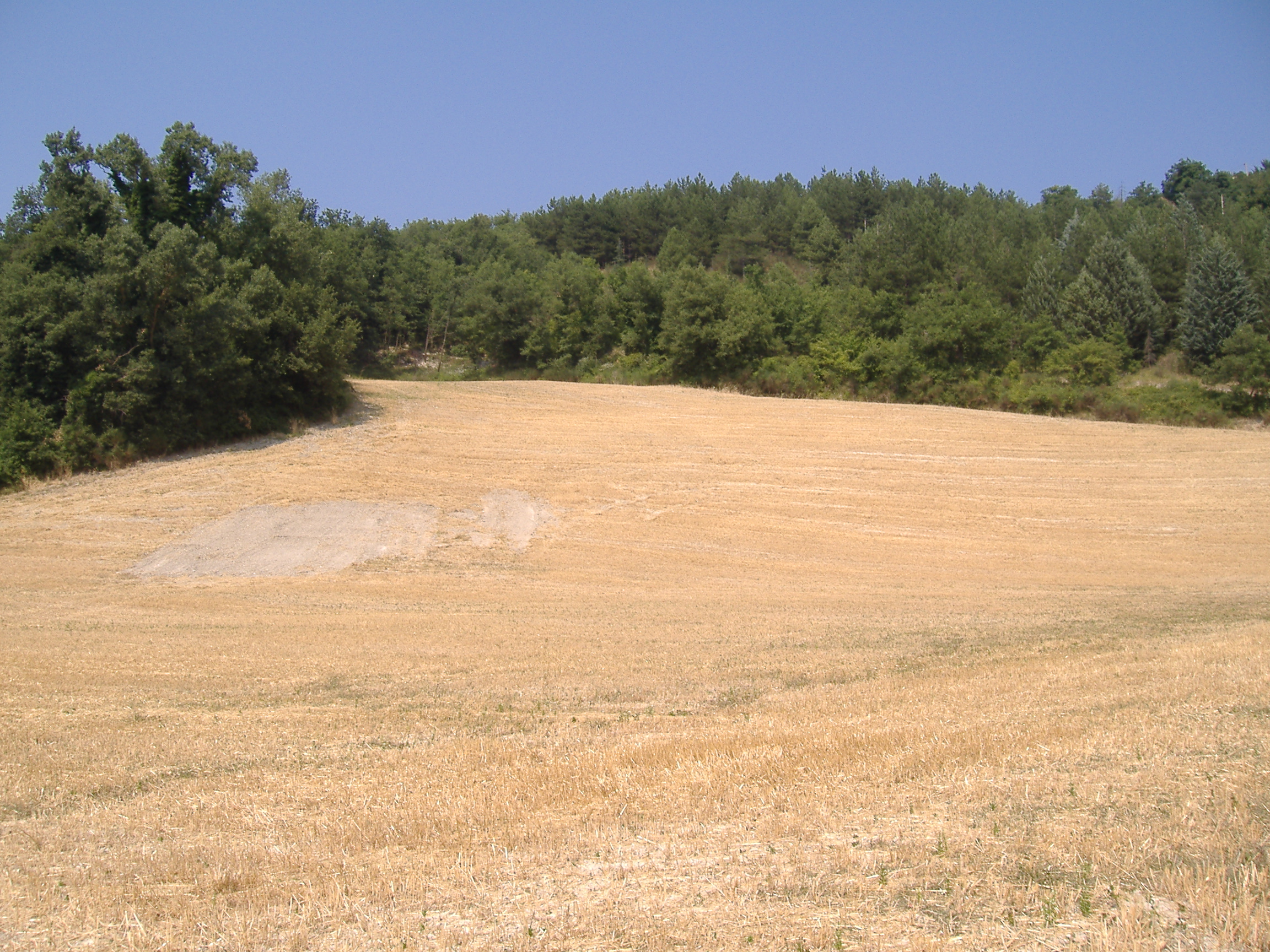 area di materiale mobile, area di frammenti fittili e materiali da costruzione - Fermignano (PU)  (PERIODIZZAZIONI/ STORIA/ Età antica/ Età romana)