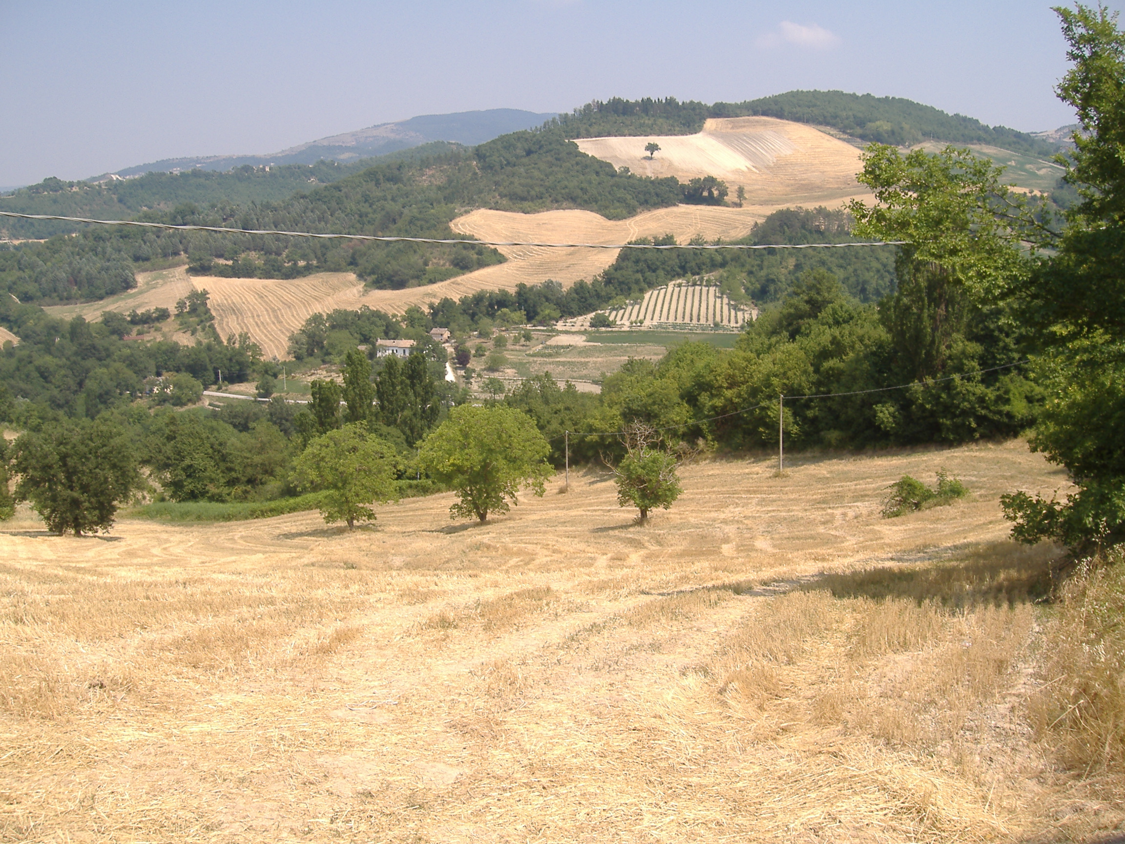 luogo con ritrovamento sporadico - Fermignano (PU)  (PERIODIZZAZIONI/ STORIA/ Età antica/ Età romana)