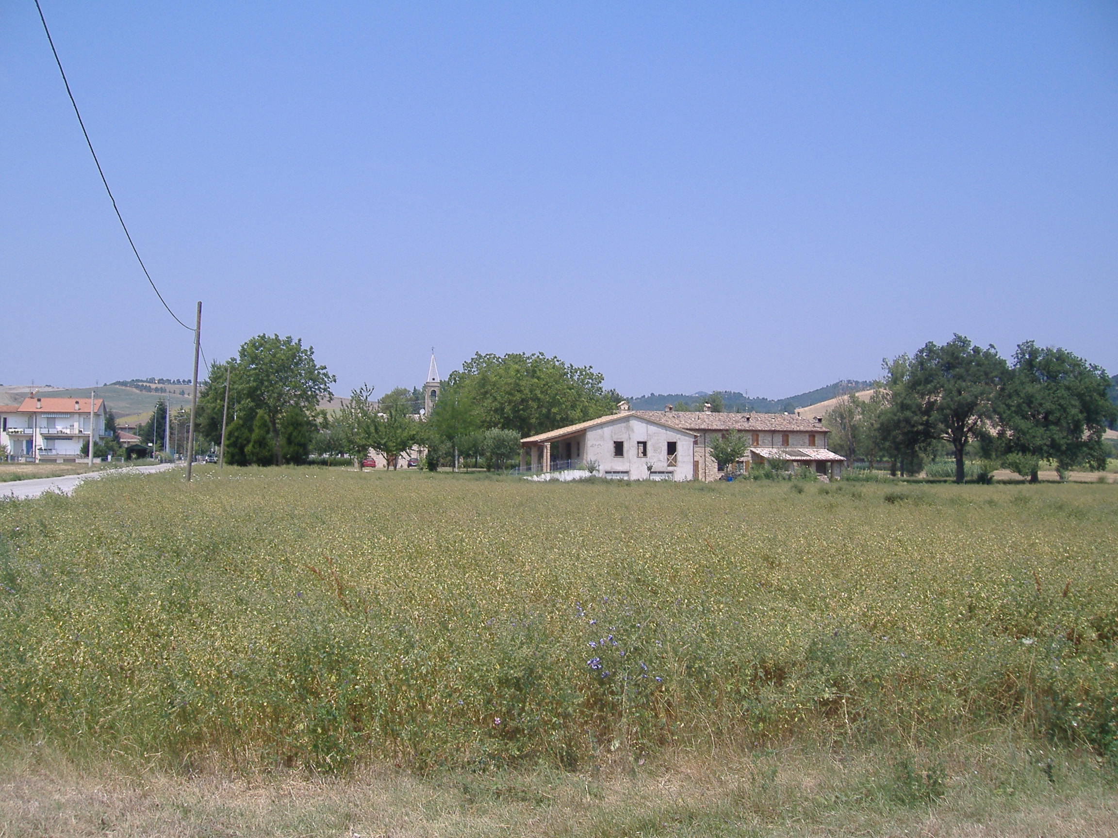 area ad uso funerario, necropoli - Fermignano (PU)  (PERIODIZZAZIONI/ STORIA/ Età antica/ Età romana)