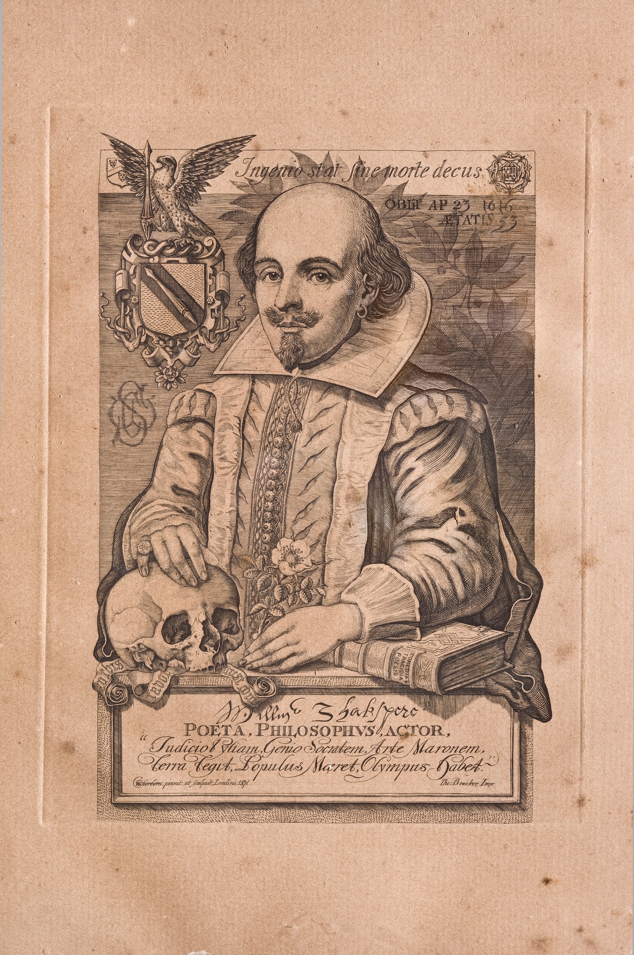 Ritratto di William Shakespeare (stampa, elemento d'insieme) di Sherborn Charles William (attribuito) (ultimo quarto sec. XIX)