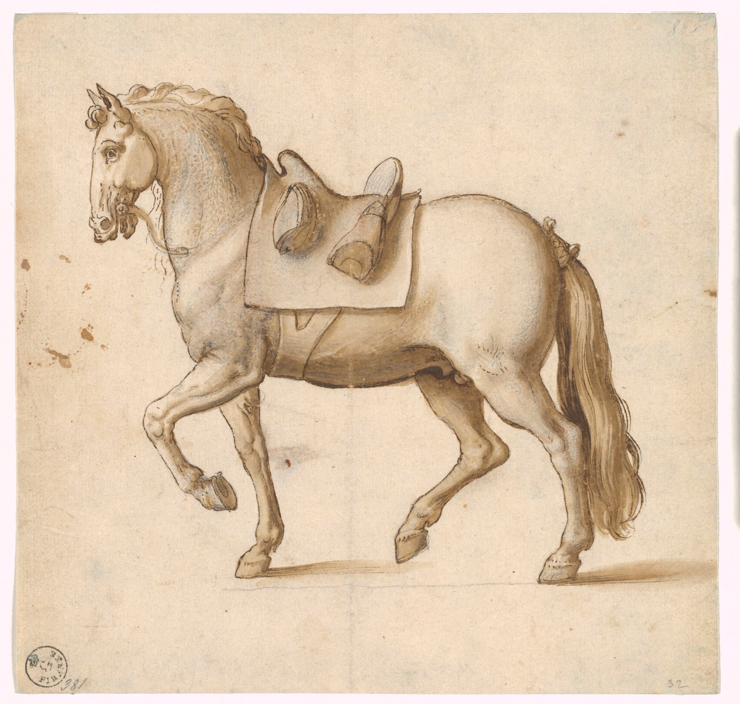 Cavallo sellato, volto di profilo verso sinistra (disegno) di Cardi Ludovico detto Cigoli (XVII)