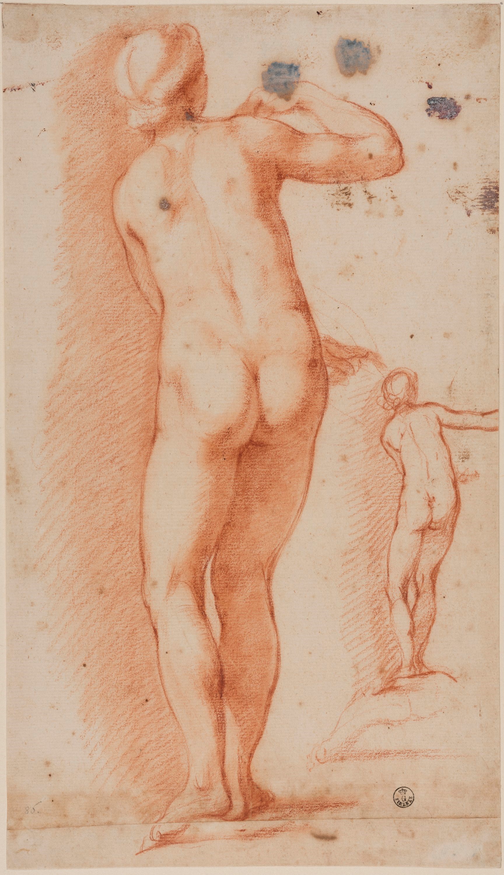 (r.) Nudi femminili visti da tergo, (v.) Accenno di nudo femminile visto da tergo (disegno) di Furini Francesco (XVII)