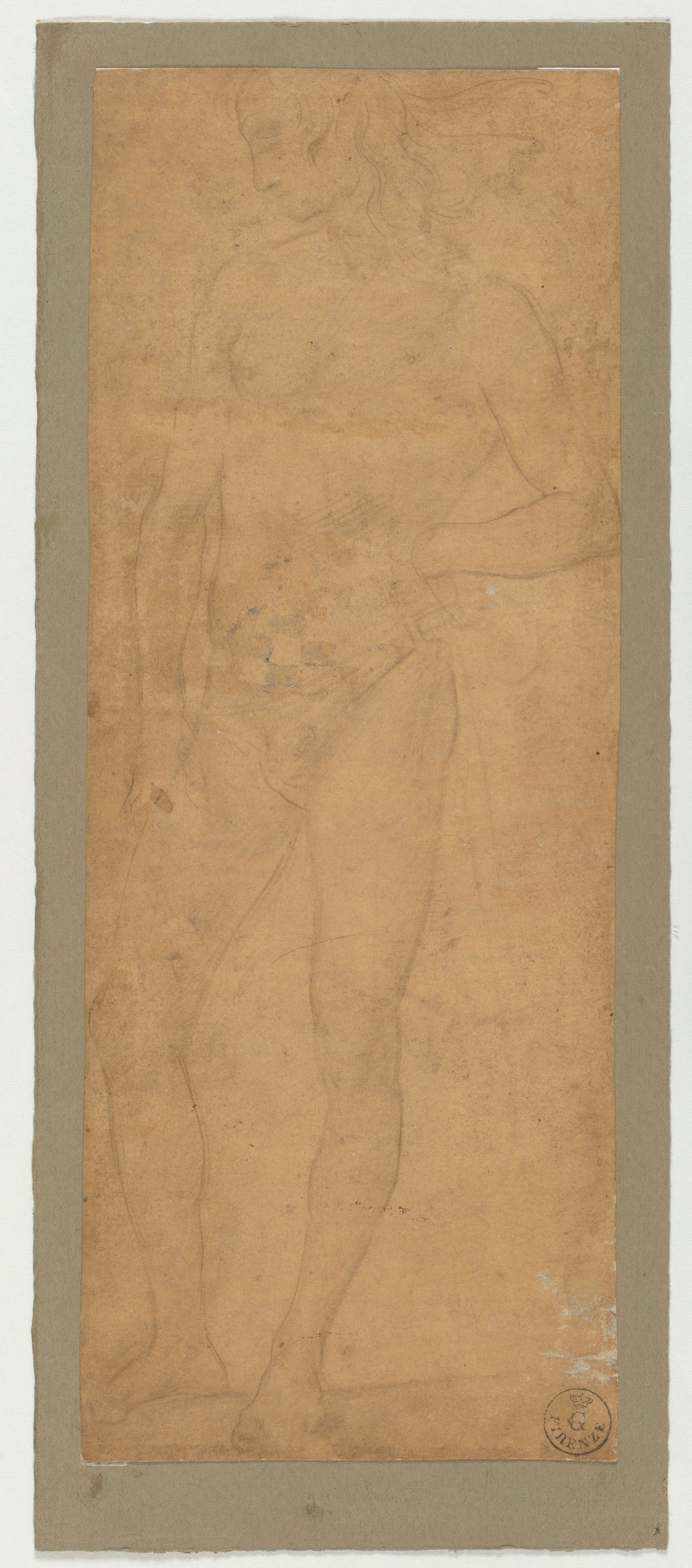 Giovane nudo volto verso sinistra (disegno) di Vannucci Pietro detto Perugino (ultimo quarto XV)