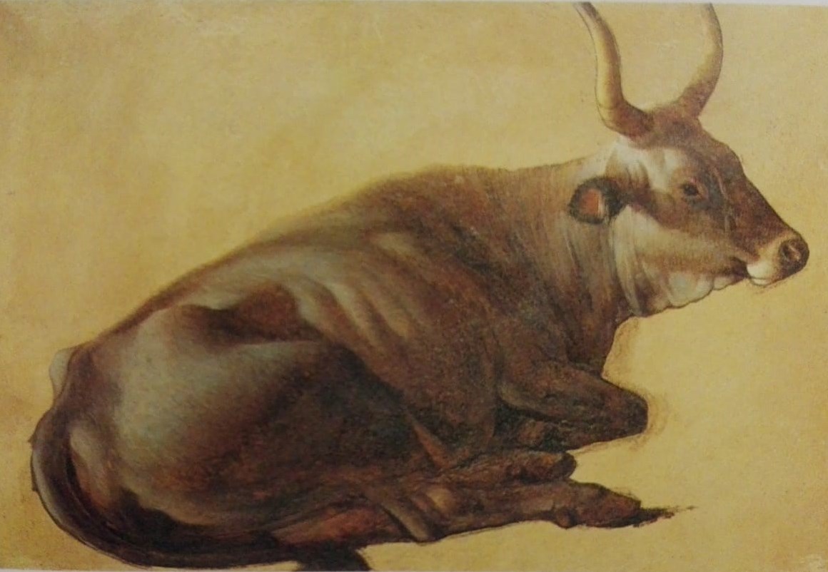 Mucca (dipinto) di Teerlink Abrham (Alexander) - ambito olandese (XIX)