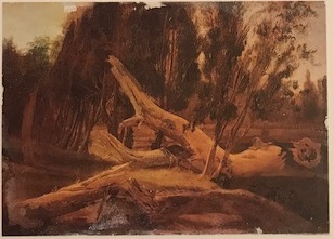 Albero caduto, Albero caduto (dipinto, serie) di Edmund Hottenroth - ambito tedesco (XIX)