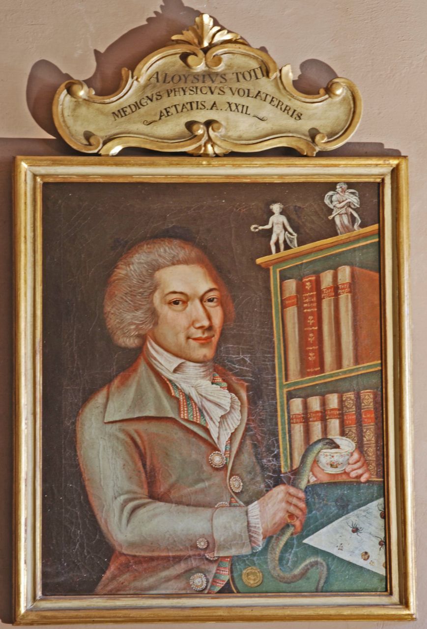 Ritratto di Luigi Toti (dipinto, opera isolata) - ambito toscano (prima metà XIX)