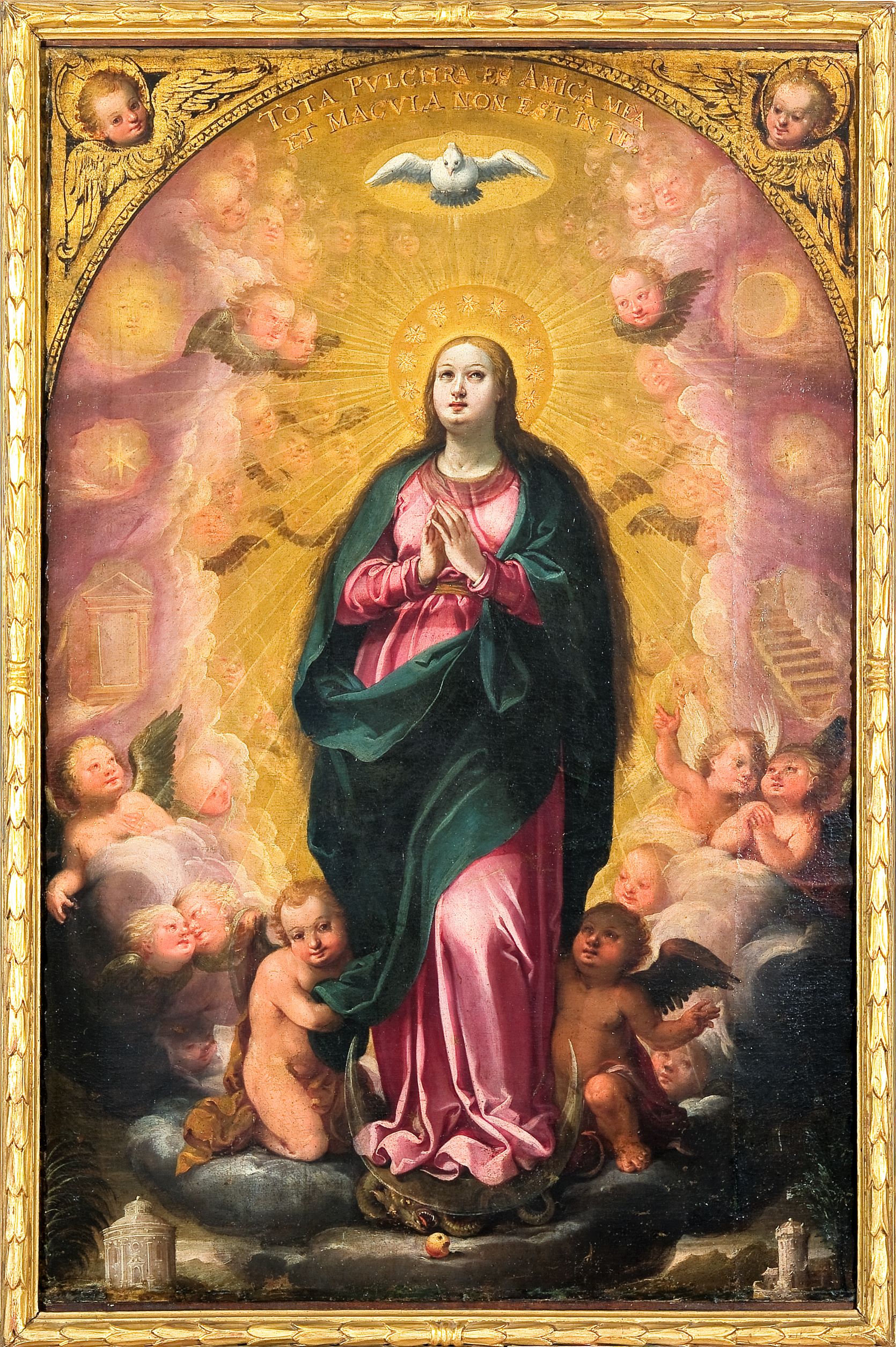 Immacolata Concezione (dipinto, opera isolata) - ambito Italia meridionale (fine/ inizio XVI-XVII)