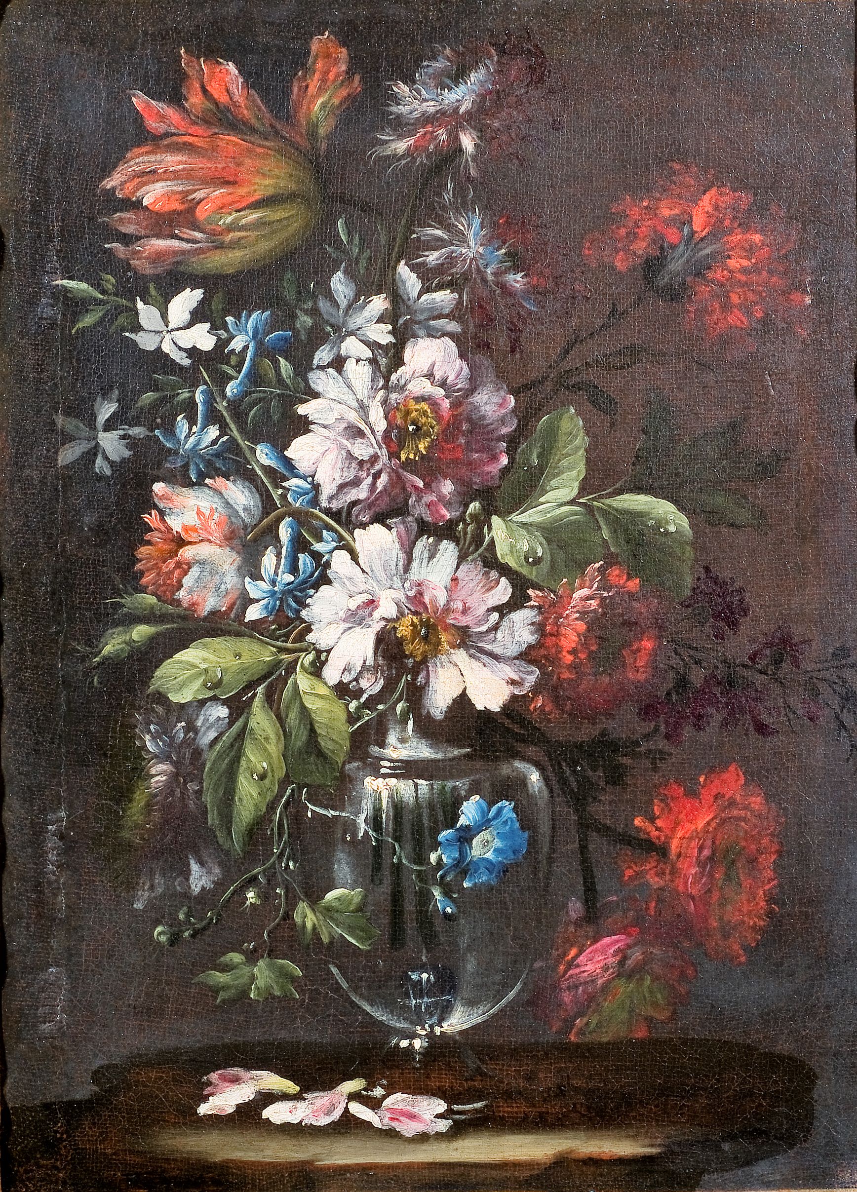 Vaso di vetro con fiori (dipinto, opera isolata) di Bona Francesco (maniera) - ambito napoletano (fine/ inizio XVII-XVIII)