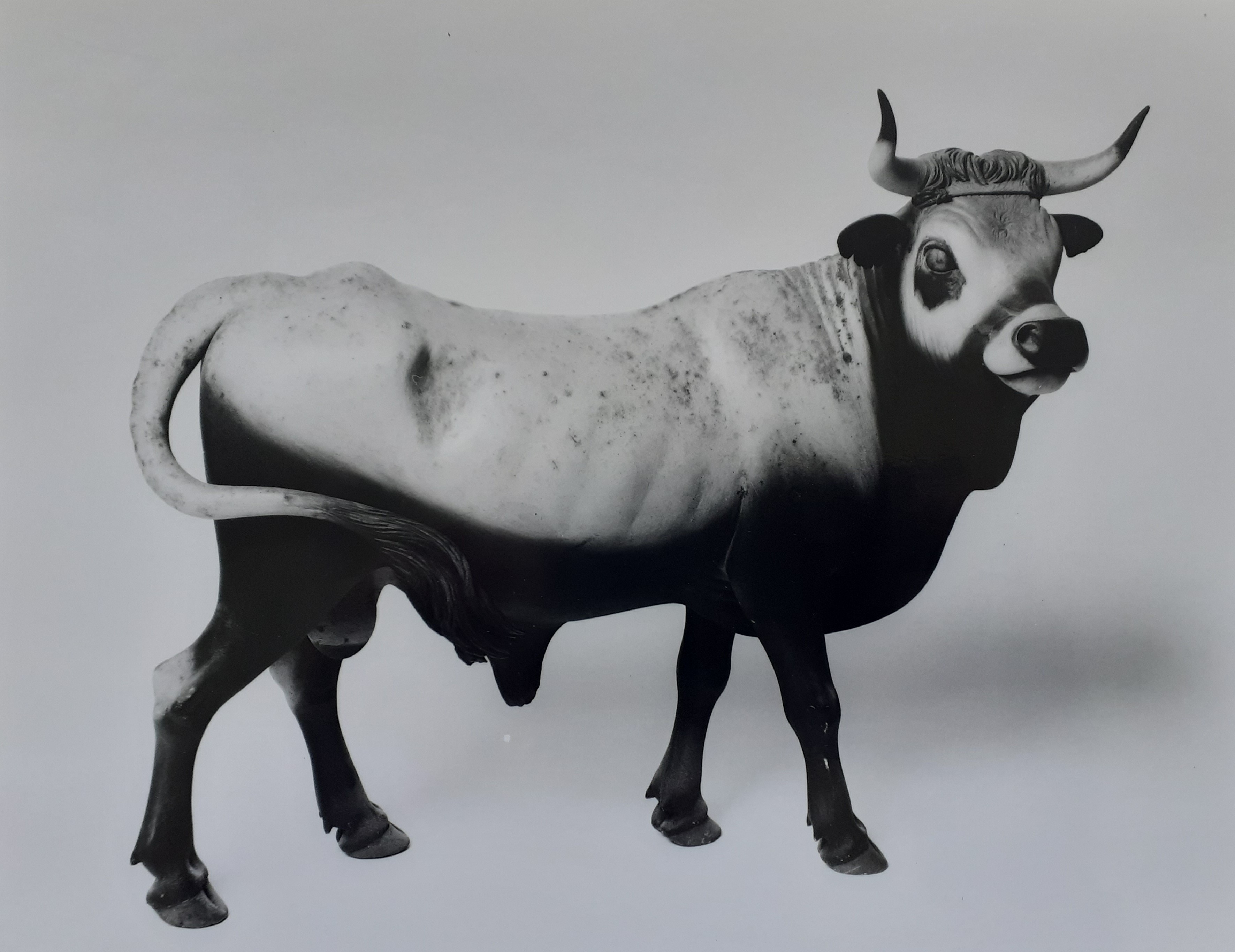 scultura raffigurante toro (statuetta di presepio) di Vassallo Nicola (attribuito) (XVIII sec)
