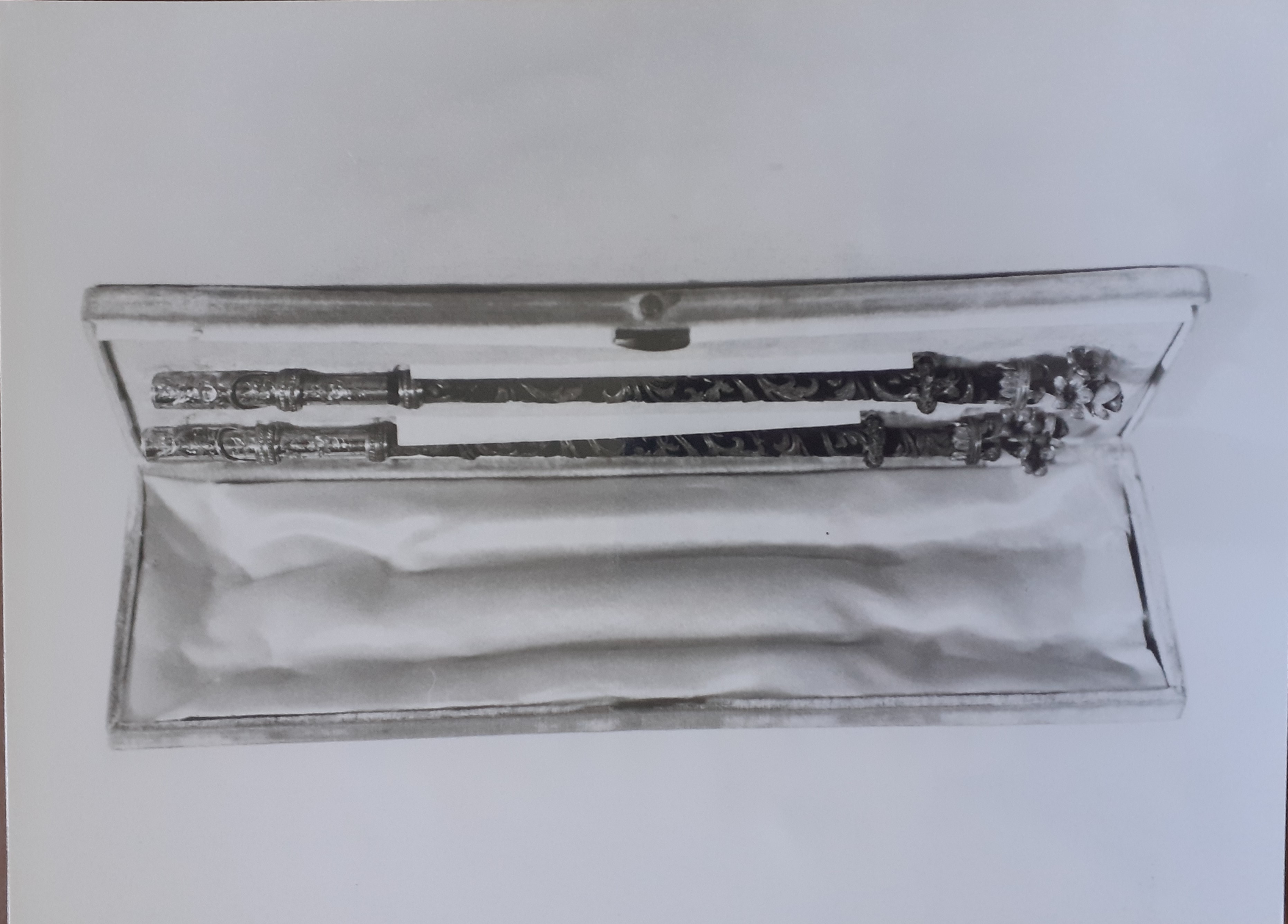 Astuccio con due portapenne (portapenne) - ambito europeo (XIX Secolo)