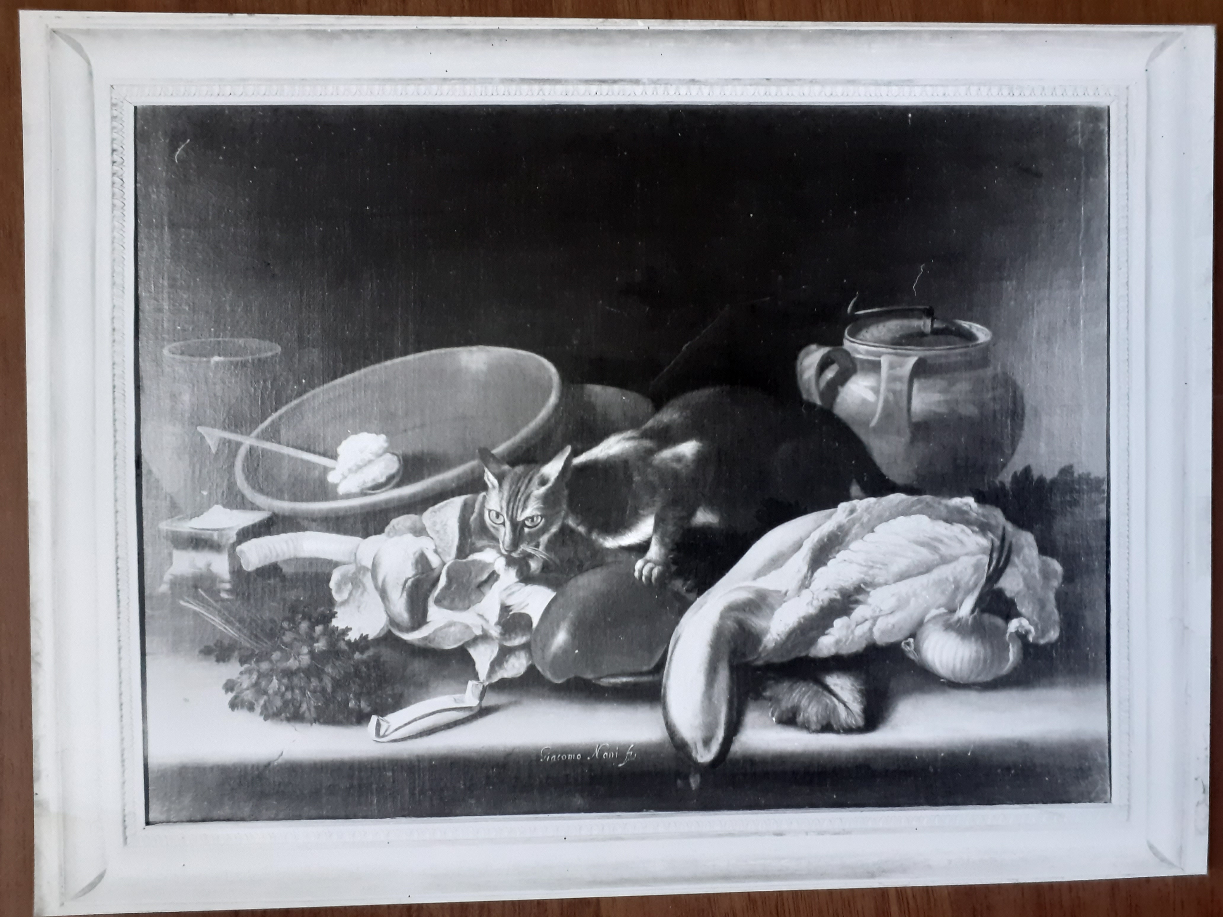 Dipinto raffigurante: "Natura morta con gatto rapace" (dipinto) di Nani Giacomo (attribuito) (seconda metà XVIII Secolo)