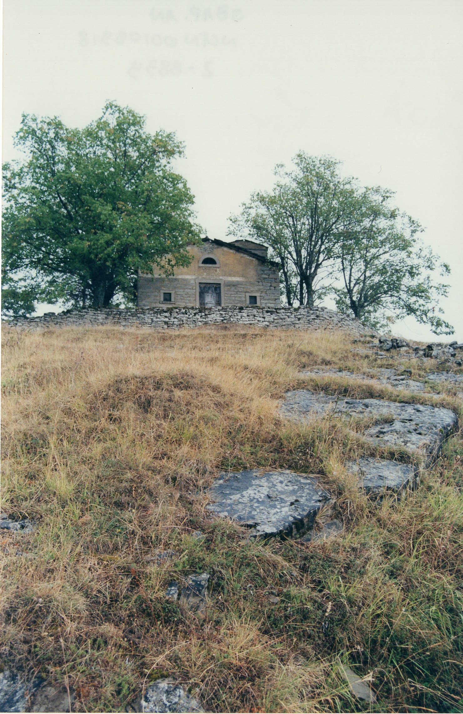 Chiesa Madonna del Divino Amore (chiesa, suburbana) - Arquata del Tronto (AP) 