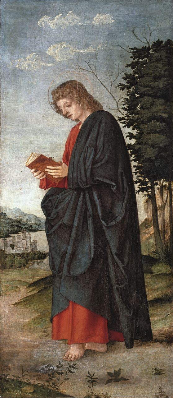San Giovanni Evangelista in un paesaggio, San Giovanni Evangelista (dipinto, opera isolata) di Dai Libri Girolamo (XVI)