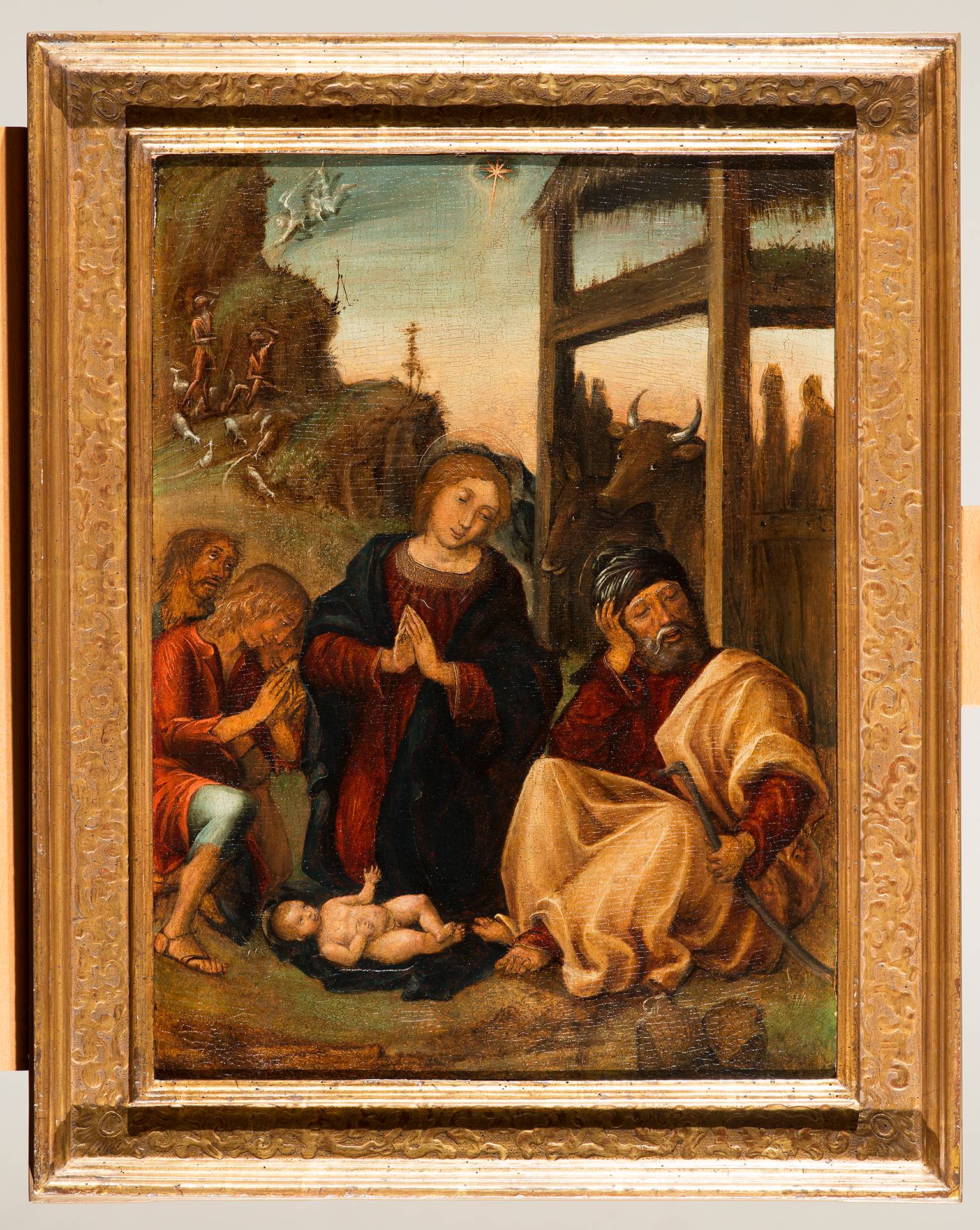 Natività con l'annuncio ai pastori, Natività (dipinto, opera isolata) di Liberale Da Verona (XVI)