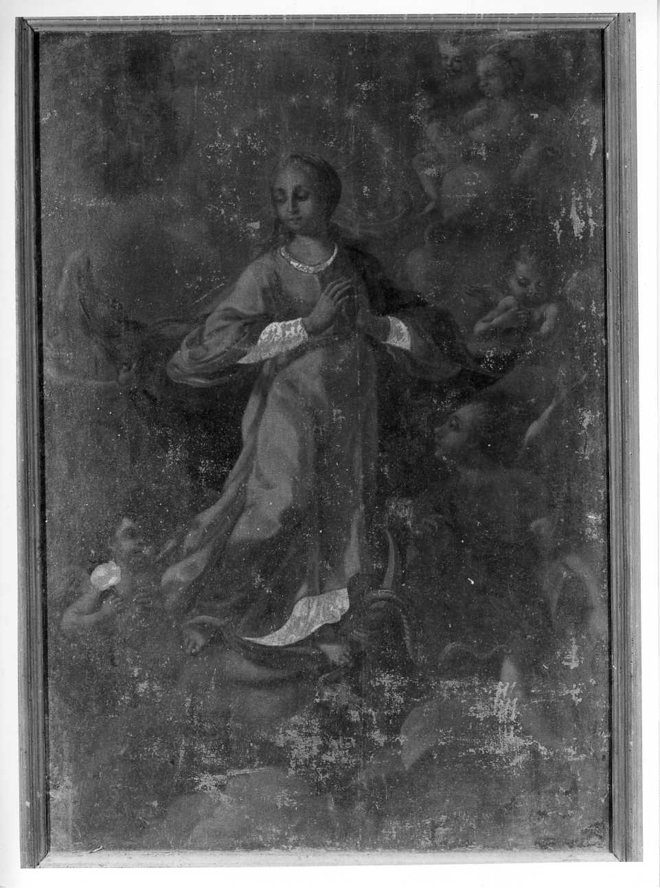 Immacolata Concezione (dipinto) - ambito Italia meridionale (seconda metà sec. XVIII)