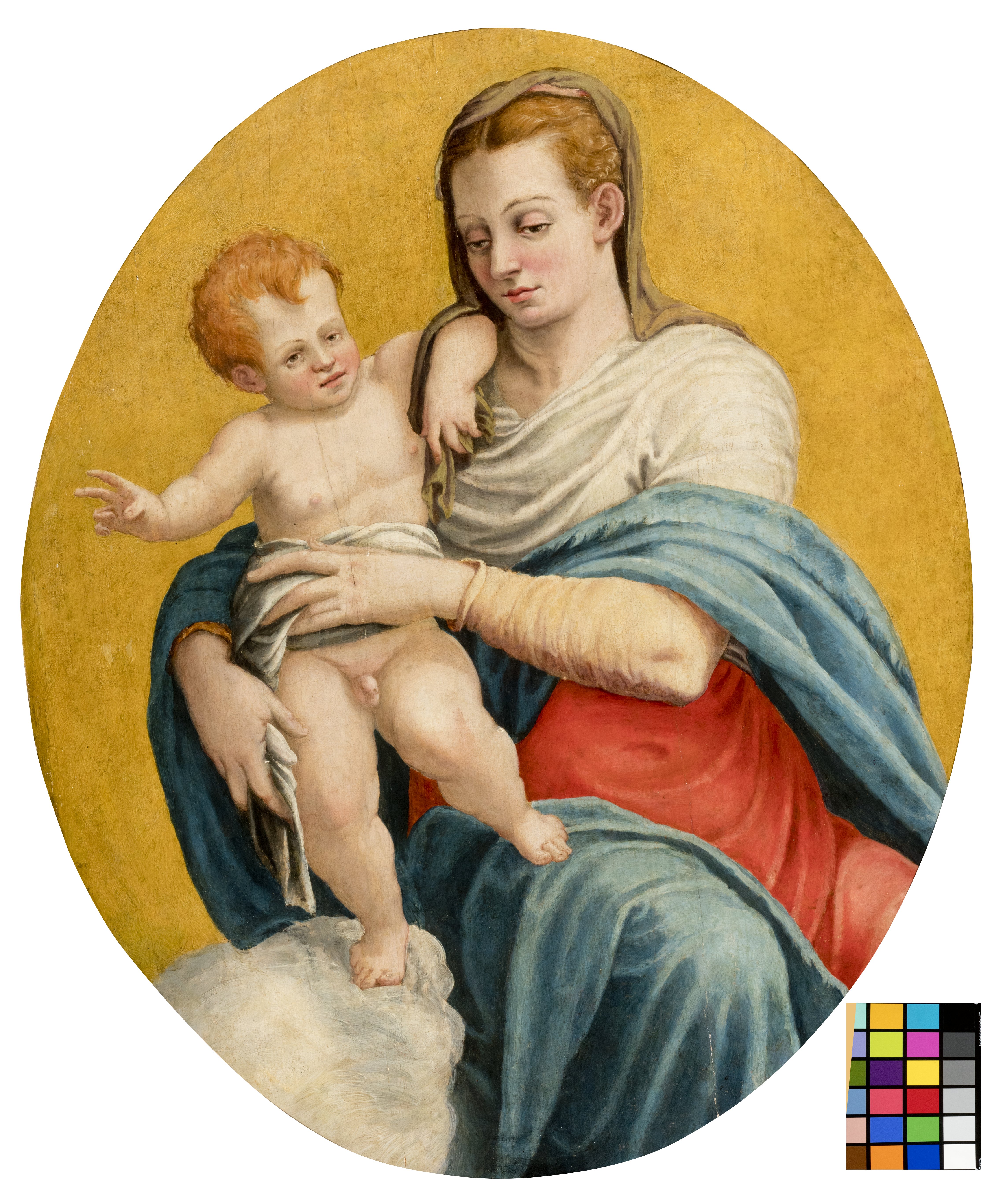 Madonna col Bambino (dipinto, opera isolata) di Agresti Livio detto Ricciutino (XVI)