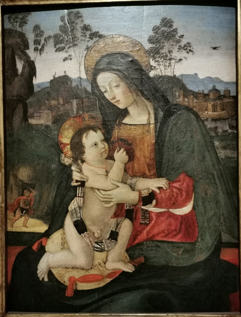 Madonna con Bambino (dipinto, opera isolata) di Bernardino di Betto detto Pinturicchio (attribuito) (sec. XV)