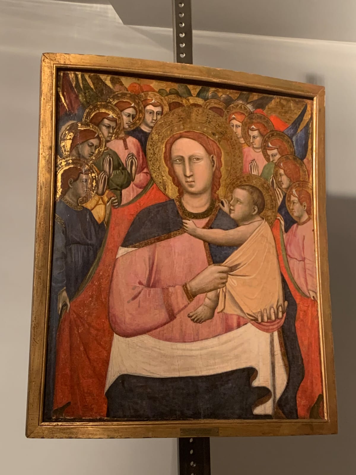 Madonna con Bambino e angeli (dipinto, opera isolata) di Pellegrino di Mariano (sec. XV)