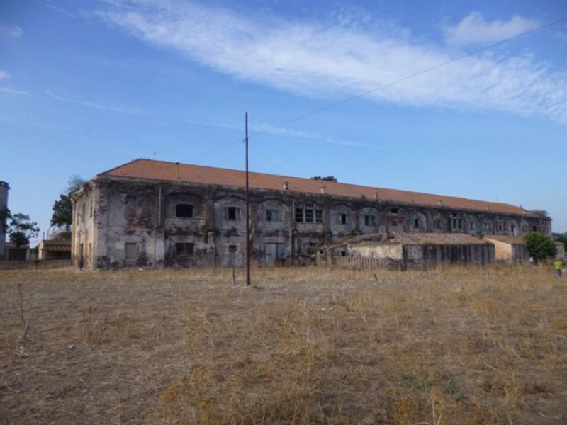 Azienda agricola di Surigheddu (azienda agricola) - Alghero (SS) 