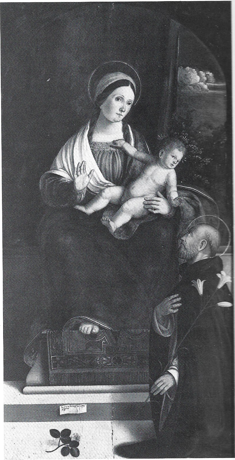 Madonna con il Bambino e San Giacinto, Madonna con il Bambino e San Giacinto (dipinto) di De' Beci, Lorenzo (inizio XVI)