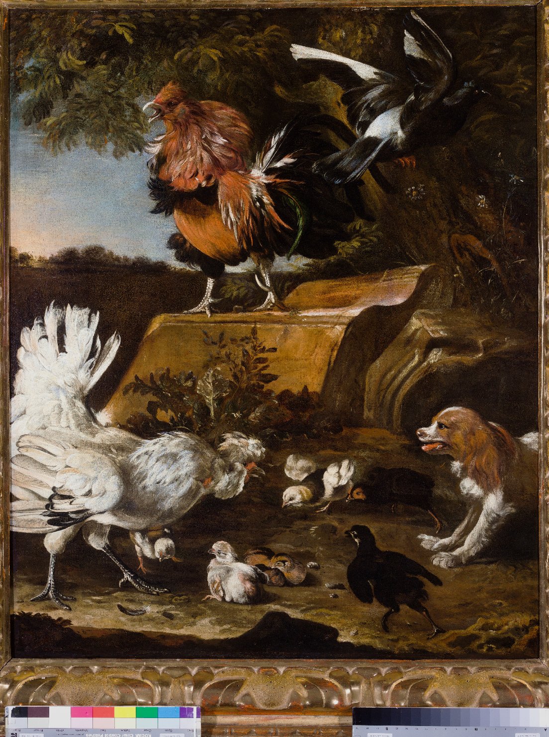 Chioccia con pulcini infastiditi da un cane (dipinto) di De Hondecoeter Melchior (attribuito) (sec. XVII)
