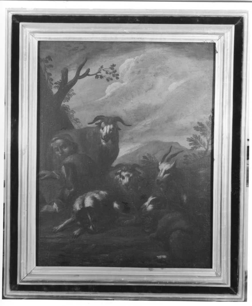 pastore con gregge (dipinto) di Brandi Domenico detto Micco (maniera) - ambito romagnolo, ambito Italia centro-meridionale (prima metà sec. XVIII)