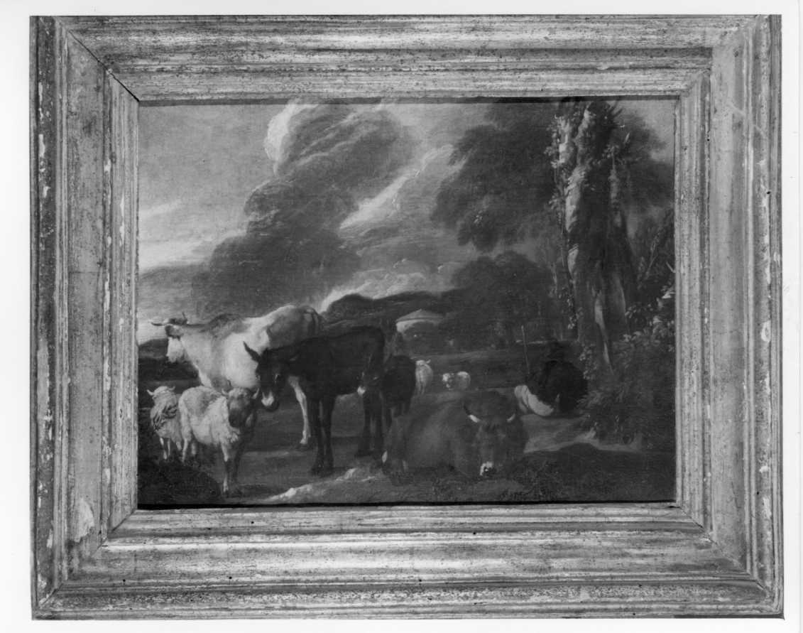 scena di vita agreste con pastore e mucche, asini e pecore (dipinto) di Roos Philipp Peter detto Rosa da Tivoli (maniera) - ambito romagnolo, ambito fiammingo (prima metà sec. XVIII)