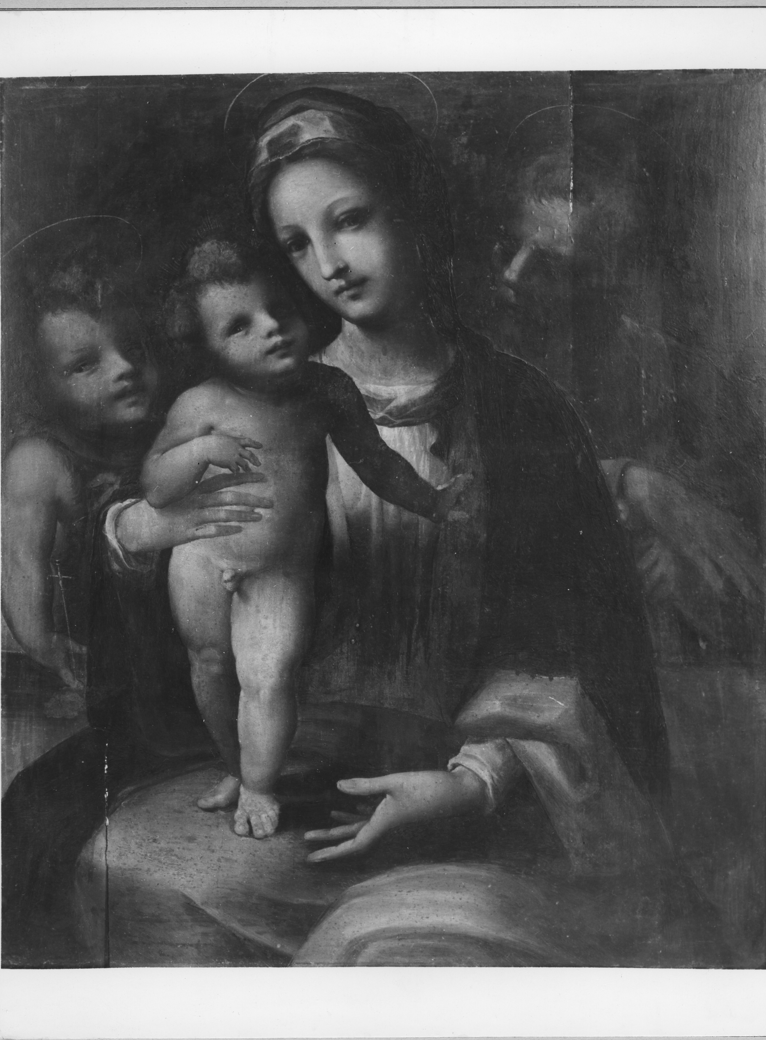 Sacra Famiglia con San Giovannino (dipinto, opera isolata) di Beccafumi Domenico detto Mecarino (attribuito) (secondo quarto XVI)