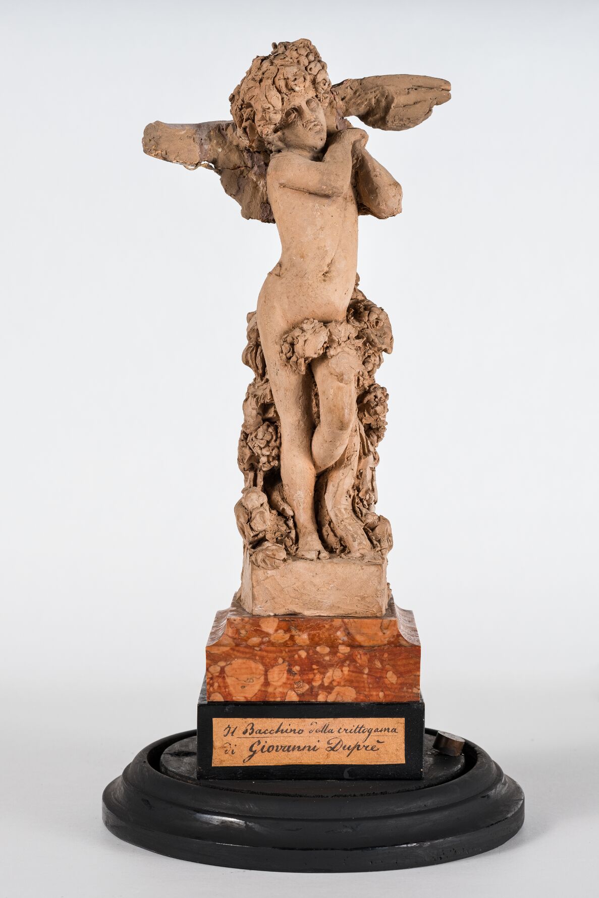 Il bacchino della crittogama, Figura di puttino (scultura, opera isolata) di Duprè, Giovanni - ambito toscano (anni cinquanta XIX)