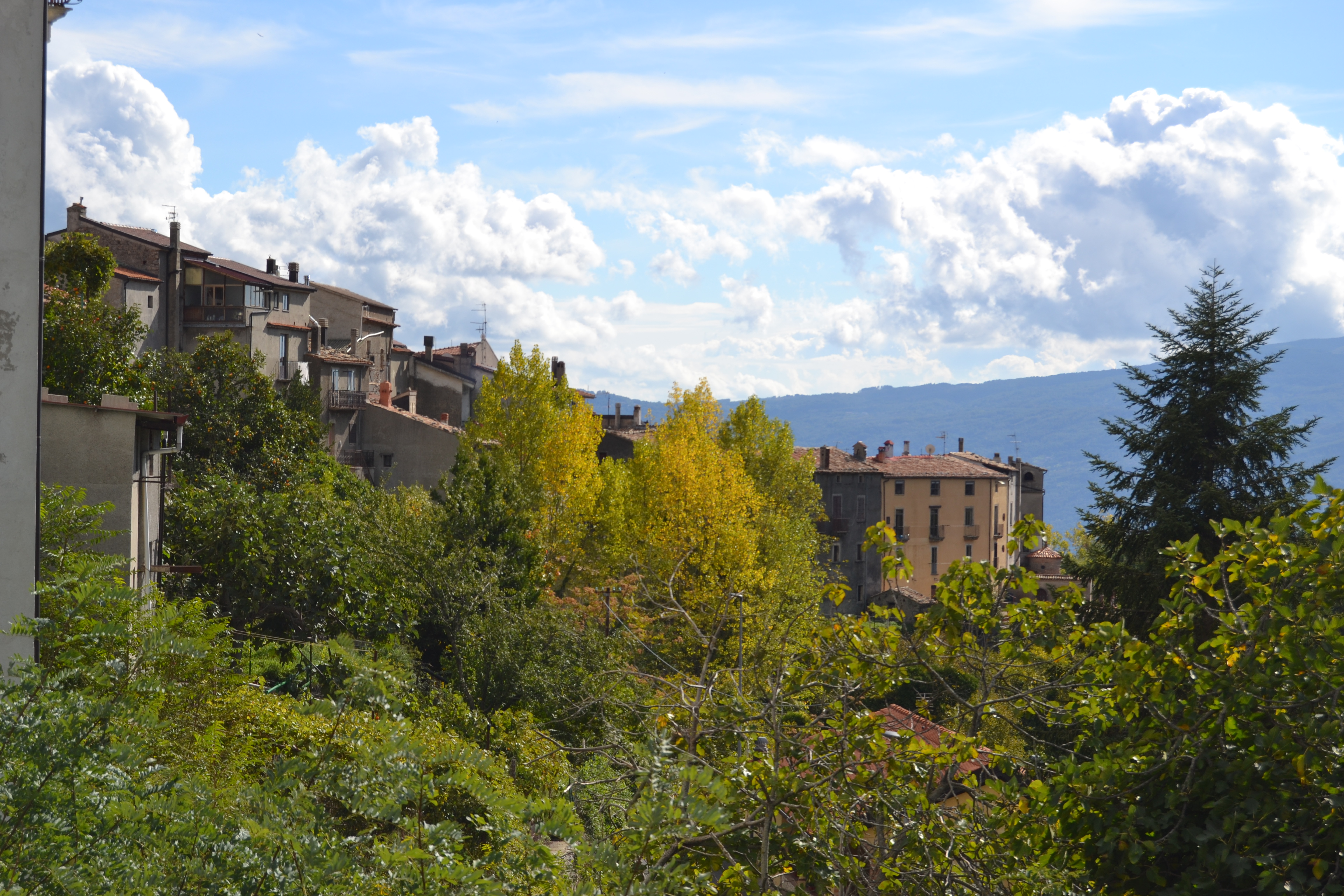 centro storico, di crinale, lineare, difensivo, Malito (X)